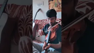 Senorita violin 🎶 🎵 @ Pranay Krishna