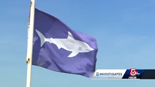 5 Investigates analyzes new data about sharks in New England