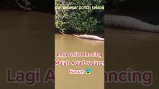 ular sebesar pohon kelapa ‼️lagi asik mancing malah ada predator ganas😱😱😱 #short #fishing #ularbesar