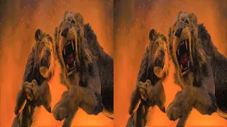 3D Clip: Simba takes revenge• The Lion King • 5.1 Audio