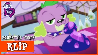 Pieskie Paczki Według Spike'a | MLP: Equestria Girls | Odcinek 1 | Sezon 2 [HD]