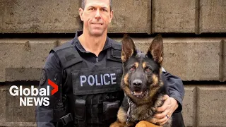 Toronto police dog shot dead after incident involving armed suspect