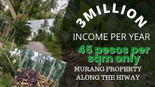 AL#04 3MILLION ESTIMATED INCOME PER YEAR | MURANG PROPERTY ALONG D'HIWAY | 45 PESOS PER SQM LANG