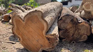 absolutely impossible||destruction of the saw blade, when sawing red teak wood||sawmill factory|ASMR