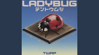 Ladybug