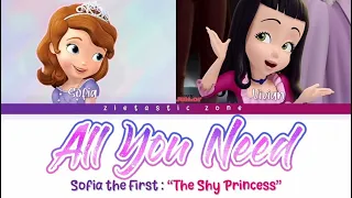 All You Need- Color Coded Lyrics | Sofia the First "The Shy Princess" | Zietastic Zone👑