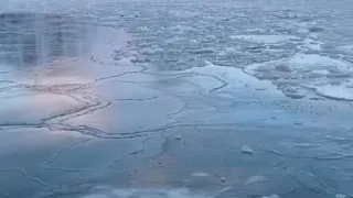 Swimming In Ice Cold Water 💦 | Svalbard, Norway 🇳🇴