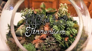 Make a Succulent Terrarium - How to Terrarium ep. 1