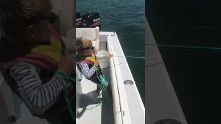 Best in Class: Little Boy Nets School of Fish While Catching Bait for Dad
