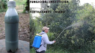 POTENTE Fungicida, Insecticida, y Fertilizante Casero, Plantas Libre de Plagas y muy Hermosas