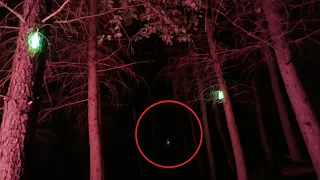 Camping in a mysterious forest and we saw THIS !