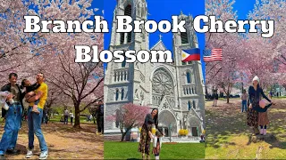 Branch Brook  Park Cherry Blossom Festival in Essex County Newark New Jersey #cherryblossom