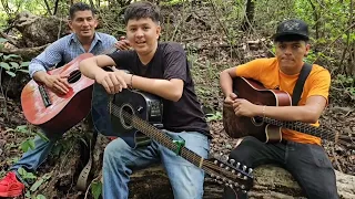 Hasta los pájaros y las chicharras cantarón al oir estas canciones 🐦‍⬛🐦‍⬛