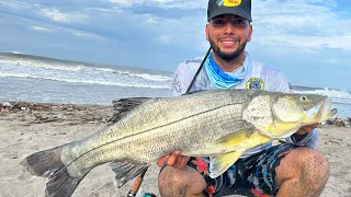 Pesca de RÓBALOS GRANDES de PLAYA || pescando en BOCA DE UN RÍO con BAILARINA PLUMERO.