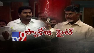 YS Jagan and CM Chandrababu Verbal War in AP Assembly - TV9