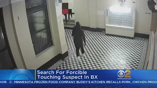 Suspect Sought In Bronx Forcible Touching Case