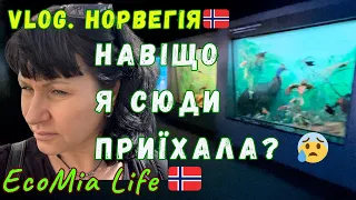 VLOG NORWAY. A WONDERFUL DAY WITH DIFFERENT EXPERIENCES! /№12 - 05.2024/EcoMia Life