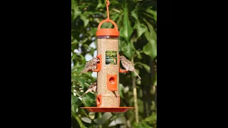 How To Assemble Amijivdaya Large Bird Feeder.