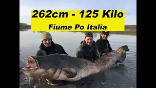 Rekord-Wels 262cm -125Kilo / Italien / Live-Drill / Umlenken / Steinpackung  by Stefan Seuß