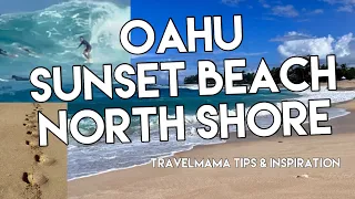 Oahu Hawaii walk Tour | North Shore | Sunset Beach | Shark’s Cove | #travel | #oceanwaves