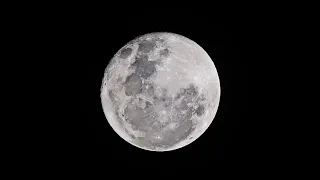 Pełnia Księżyca w Wadze  - TAROT - WSZYSTKIE ZNAKI