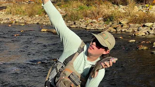 Western North Carolina fly fishing (with some surprise elk)