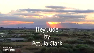 Petula Clark - Hey Jude