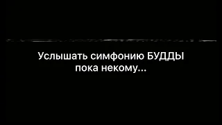 Ты, Просветленный Путник, похоже, ошибся веком...