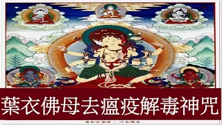 🙏念佛積福↗ ☀️ 靜慮減壓↘｜【葉衣佛母去瘟疫解毒神咒】一小時｜ The Mantra of Parnashavari 1 Hour