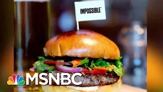 Impossible Foods CEO On Climate Change And The Food Industry | Velshi & Ruhle | MSNBC