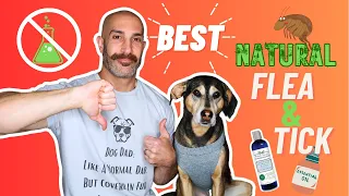 SAFEST 🌱 Flea & Tick 🚫 Products that ACTUALLY WORK!! 🐕