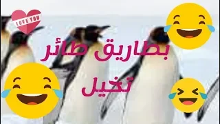 5 كذبات  ابريل مضحكة صدقها  العالم !!!!