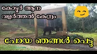Kottoor Kappukadu Elephant Rehabilitation Centre/ Neyyardam, Thiruvananthapuram/Chemmeen media