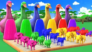 5 Giant Duck Cartoon Cow,Elephant,Lion,Gorilla, Dinosaur Fountain Crossing Transformation Cartoon