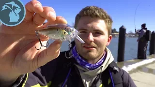 Michigan Early Spring Fishing Lake St. Clair Metropark (EXTREME OUTDOORSMAN)