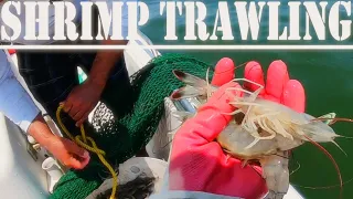 Small boat shrimp trawling opening day 2022 shrimp trawl season