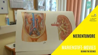 Diagnose Nierenkrebs - so geht's weiter