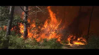 Feu de forêt à Istres