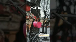 Ты знаешь, так хочется жить... shorts