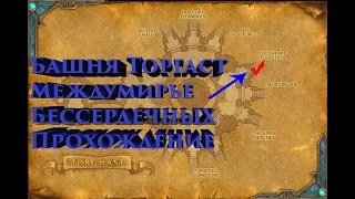 World of Warcraft Shadowlands, Торгаст. Прохождение Междумирья Бессердечных.