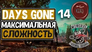 DAYS GONE  МАКСИМАЛЬНАЯ СЛОЖНОСТЬ "СЛОЖНО"  PS4 PRO  # 14