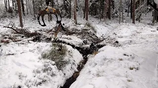 Vindfällen efter Malik NewHolland TL90 Weimer