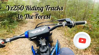 2022 YZ250 2 Stroke Riding Trails in the Forest (GoPro Hero 9)