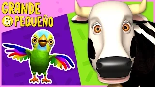 Grande y Pequeño #1 | Animales de La Granja de Zenón | A Jugar