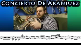 Concierto De Aranjuez - Flugelhorn Solo from Brassed Off