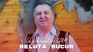 Neluta Bucur | Cele Mai Frumoase Melodii 2024 | Colaj Muzica Neluta Bucur 2024