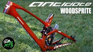 NEW BIKE Winter Project? ANTIDOTE WoodSprite Trail BIKE Frame Quick Check