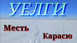 💪УЕЛГИ💪 Эта Рыбалка Дала Мне Кучу Эмоций и Позитива!!!🔥🔥🔥