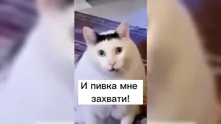 Когда берешь машину мужа