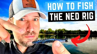 NED RIG - 4 Tips to Catch More Bass With This Simple Lure